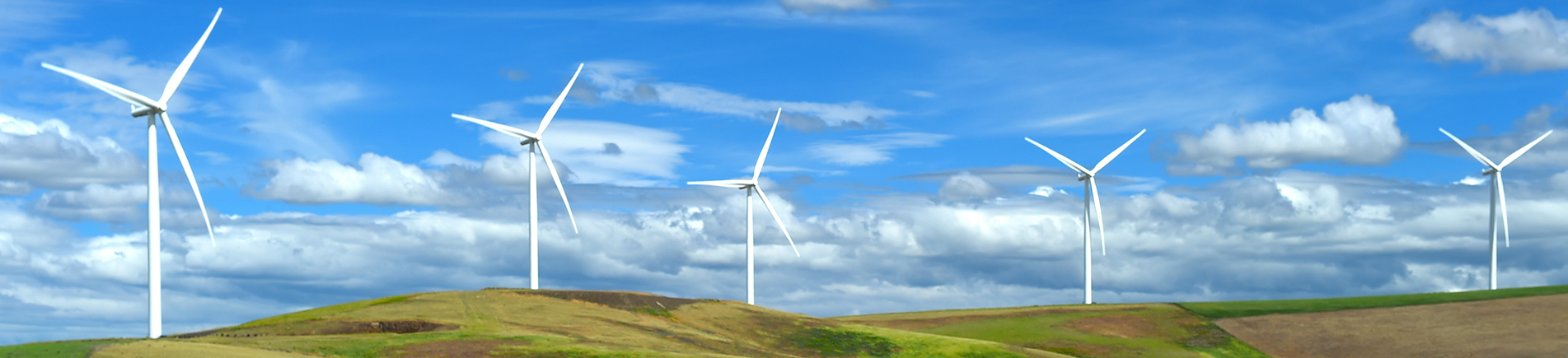wind farm turbines on hill contrast green grass and blue sky, wa
